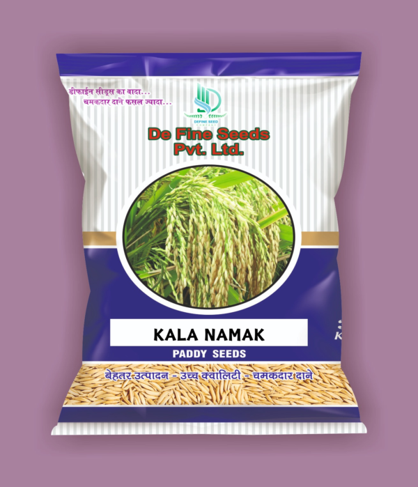 Define Seed Kala Namak