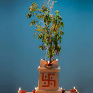 Tulsi Puja