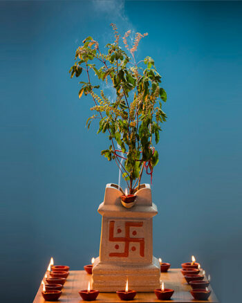 Tulsi Puja